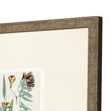 Paragon Antique Botanical I S/3 Green 13 X 13 X 1 Wall Art
