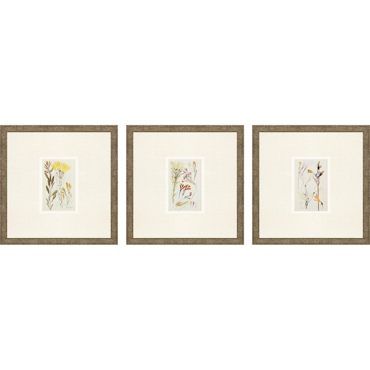 Paragon Antique Botanical II S/3 Green 13 X 13 X 1 Wall Art