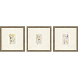 Paragon Antique Botanical II S/3 Green 13 X 13 X 1 Wall Art