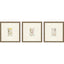 Paragon Antique Botanical II S/3 Green 13 X 13 X 1 Wall Art