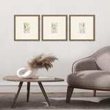Paragon Antique Botanical II S/3 Green 13 X 13 X 1 Wall Art