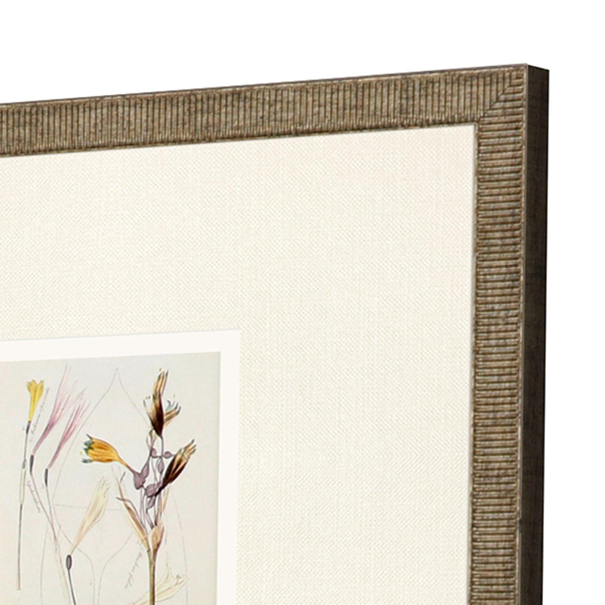 Paragon Antique Botanical II S/3 Green 13 X 13 X 1 Wall Art