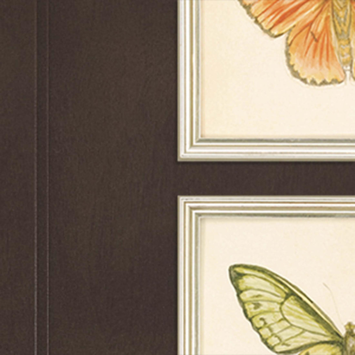 Paragon Butterflies S/6 Multi 11 X 13 X 1 Wall Art