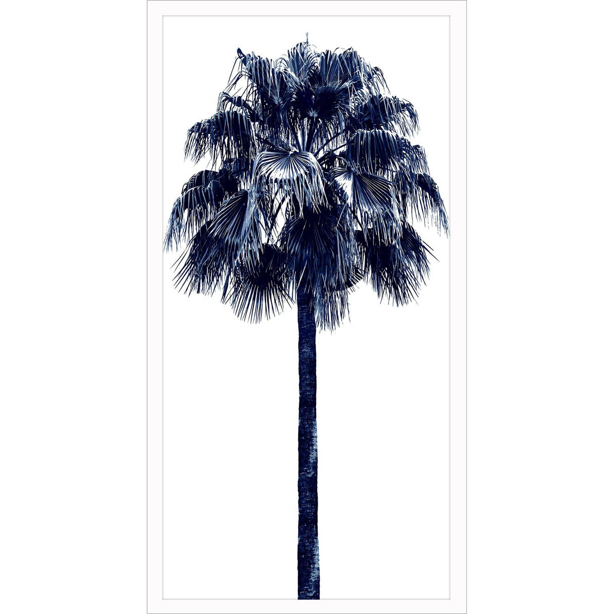 Paragon Palm Tree Blue IV Blue 50 X 26 X 3 Wall Art
