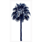 Paragon Palm Tree Blue IV Blue 50 X 26 X 3 Wall Art