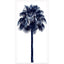 Paragon Palm Tree Blue IV Blue 50 X 26 X 3 Wall Art