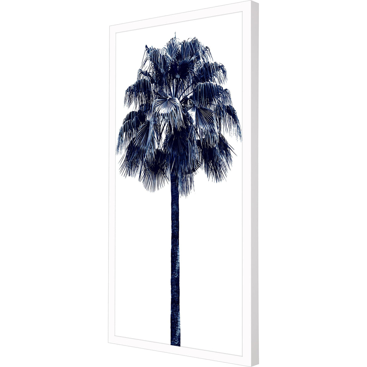 Paragon Palm Tree Blue IV Blue 50 X 26 X 3 Wall Art