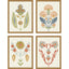 Paragon Folk Flourish S/4 Multi 26 X 20 X 2 Wall Art
