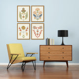 Paragon Folk Flourish S/4 Multi 26 X 20 X 2 Wall Art