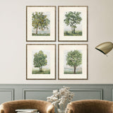Paragon Countryside Growth S/4 Green 23 X 19 X 1 Wall Art