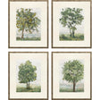 Paragon Countryside Growth S/4 Green 23 X 19 X 1 Wall Art