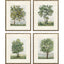 Paragon Countryside Growth S/4 Green 23 X 19 X 1 Wall Art