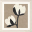 Paragon Delicate Sketch Duet White 34 X 34 X 2 Wall Art