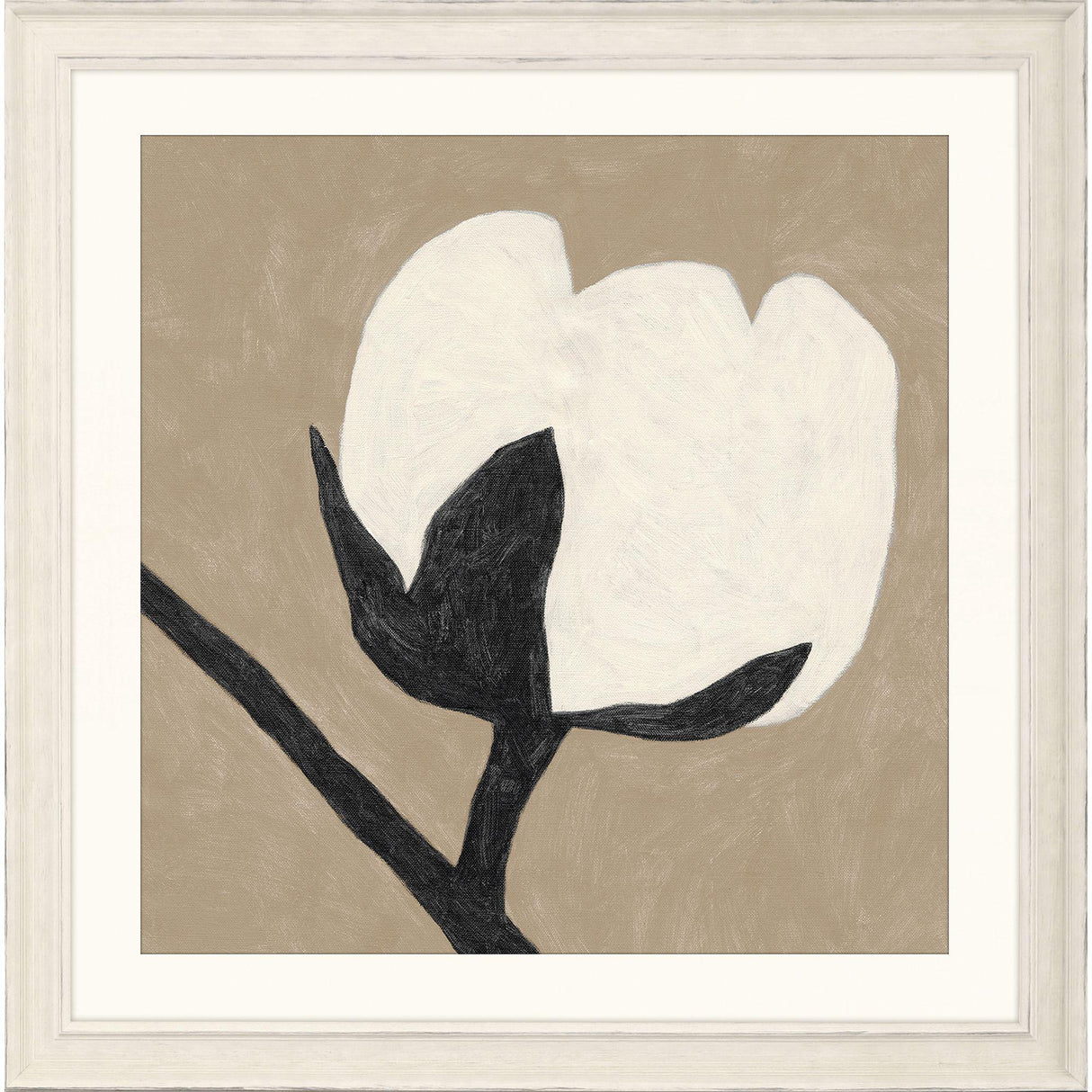 Paragon Delicate Sketch Solo White 34 X 34 X 2 Wall Art