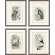 Paragon Birds S/4 Gray 22 X 18 X 2 Wall Art