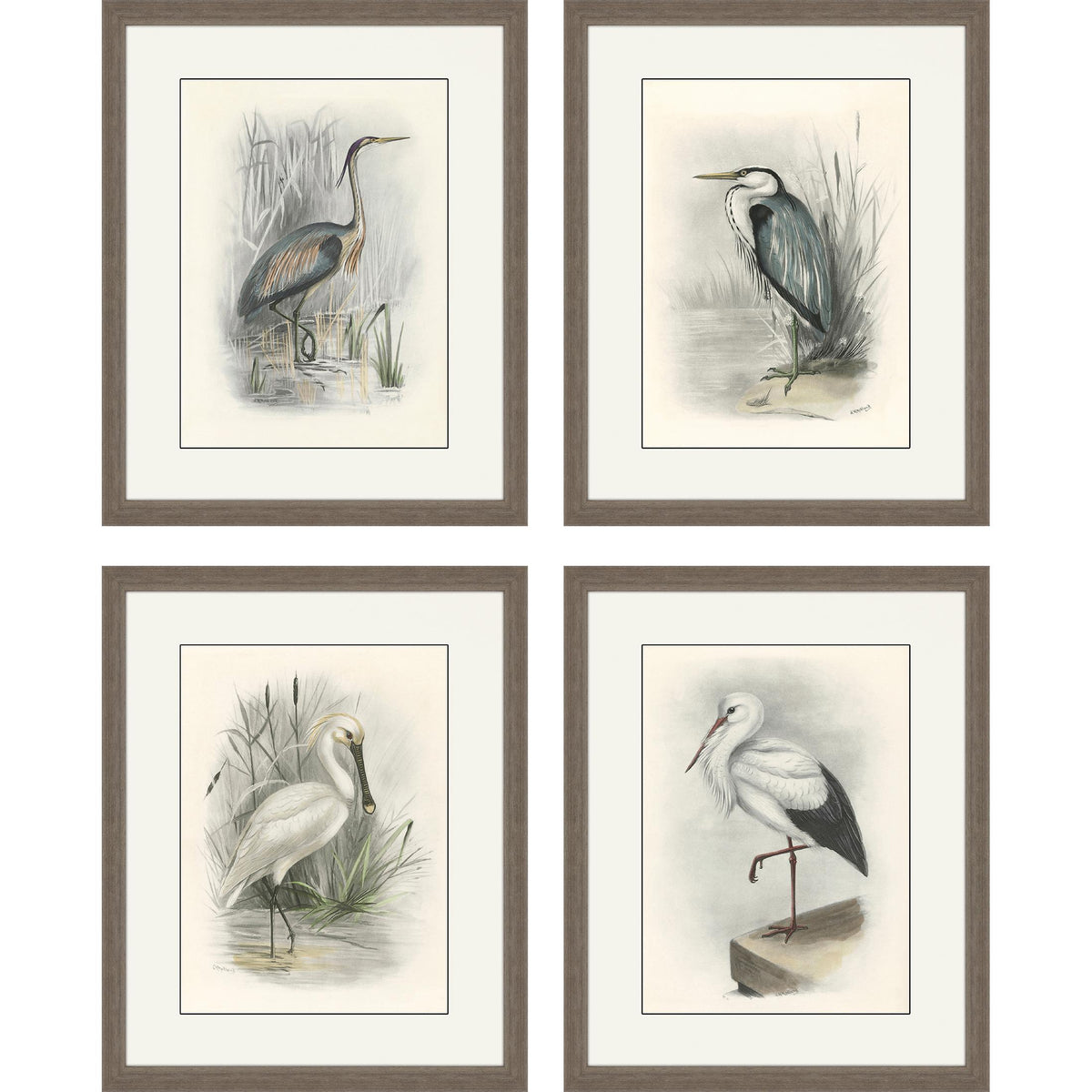 Paragon Birds S/4 Gray 22 X 18 X 2 Wall Art