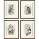 Paragon Birds S/4 Gray 22 X 18 X 2 Wall Art