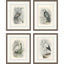Paragon Birds S/4 Gray 22 X 18 X 2 Wall Art