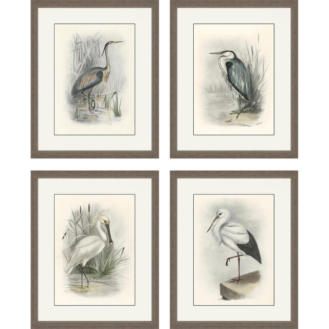 Paragon Birds S/4 Gray 22 X 18 X 2 Wall Art
