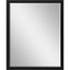 Paragon #374 30 x 40 Beveled Black 42 X 32 X 3 Wall Mirror