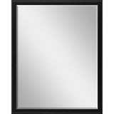 Paragon #374 36 x 48 Beveled Black 50 X 38 X 3 Wall Mirror