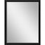 Paragon #374 36 x 48 Beveled Black 50 X 38 X 3 Wall Mirror