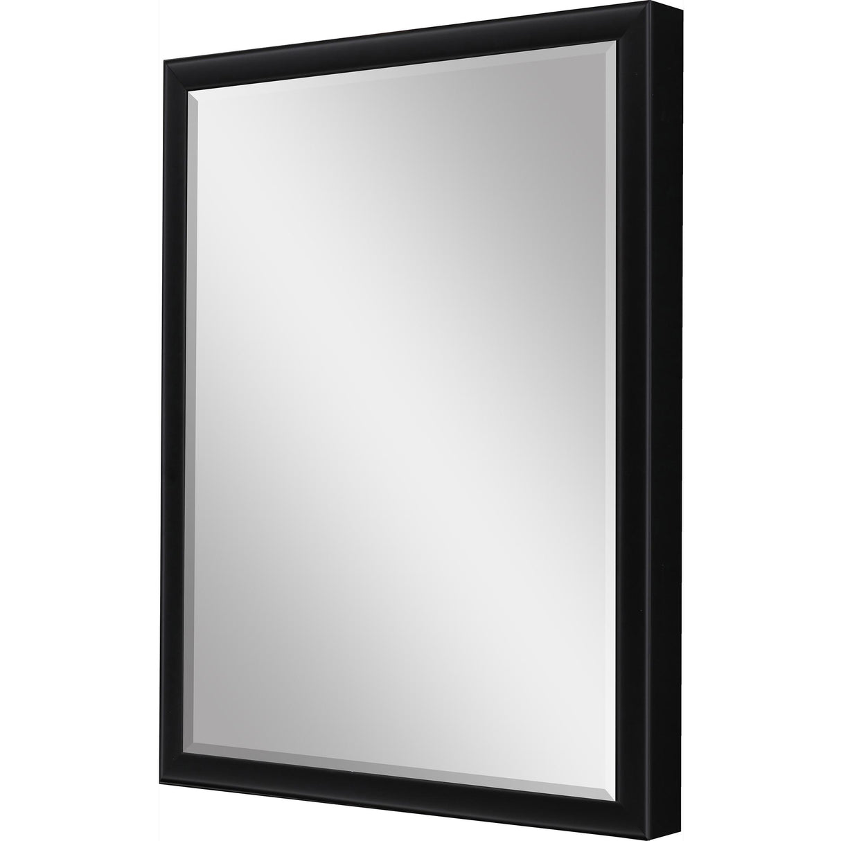 Paragon #374 36 x 48 Beveled Black 50 X 38 X 3 Wall Mirror