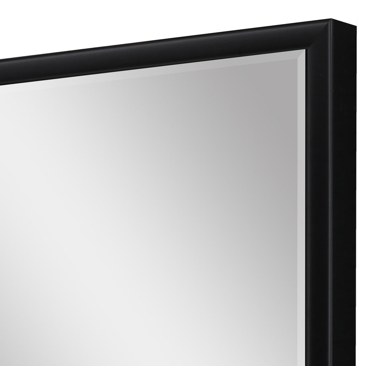 Paragon #374 36 x 48 Beveled Black 50 X 38 X 3 Wall Mirror