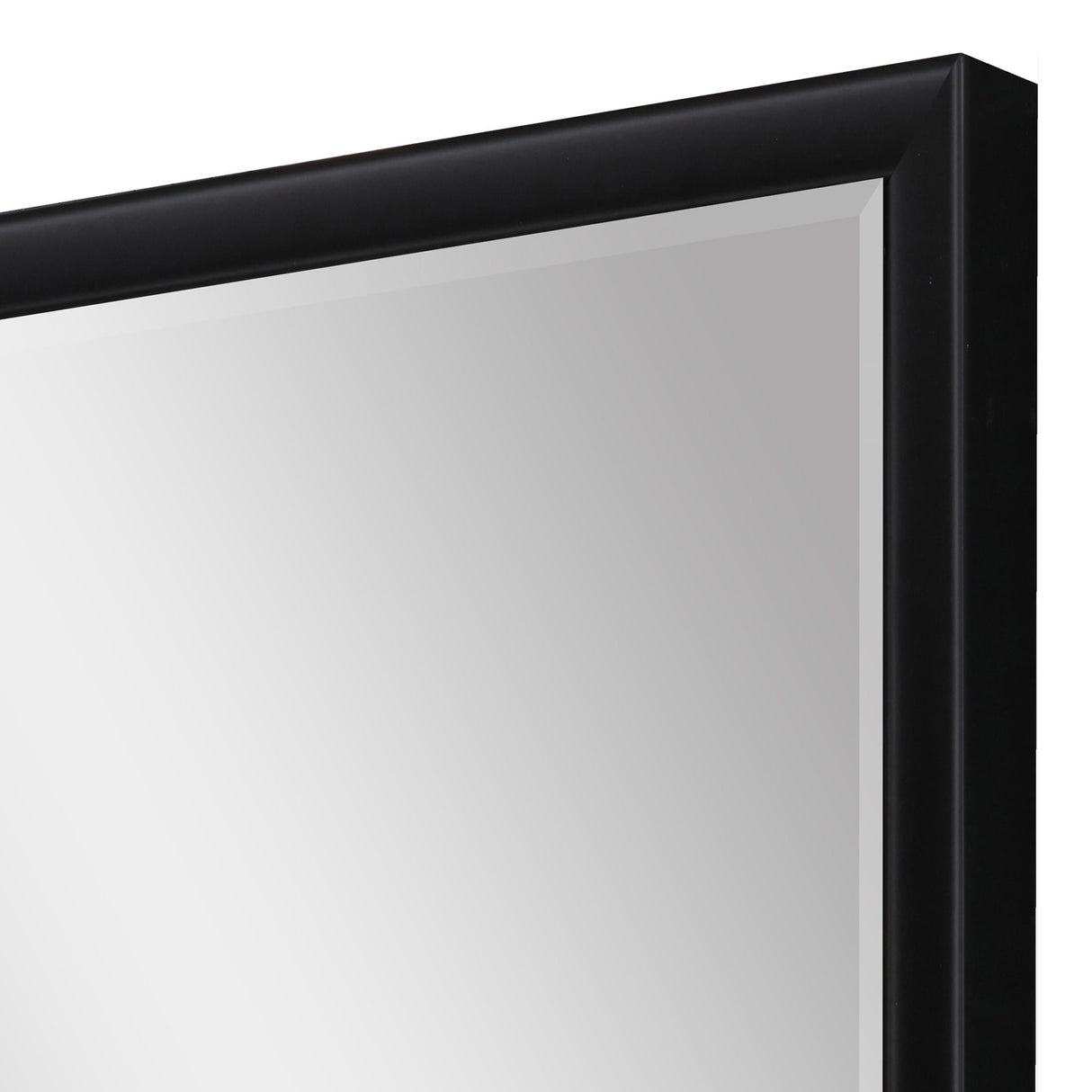 Paragon #374 30 x 72 Beveled Black 74 X 32 X 3 Wall Mirror