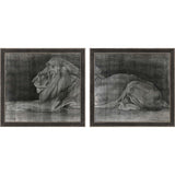 Paragon Lion S/2 Black 35 X 38 X 2 Wall Art