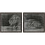 Paragon Lion S/2 Black 35 X 38 X 2 Wall Art