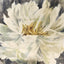 Paragon Blooming White 38 X 38 X 3 Wall Hanging