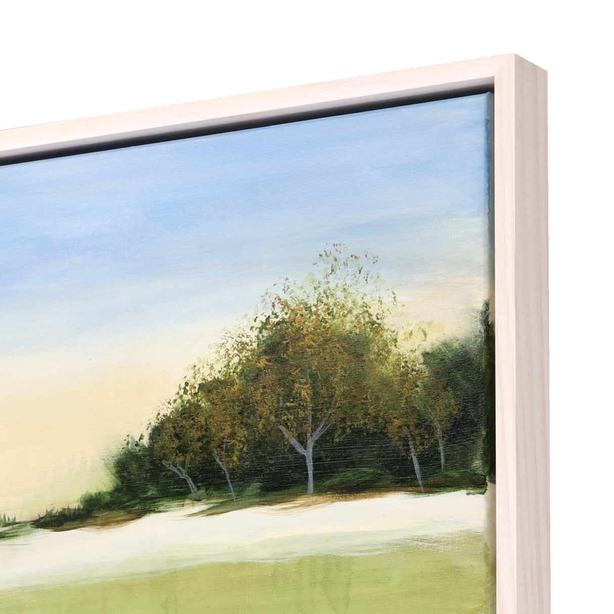 Paragon Soft Focus I Green 32 X 42 X 3 Wall Art