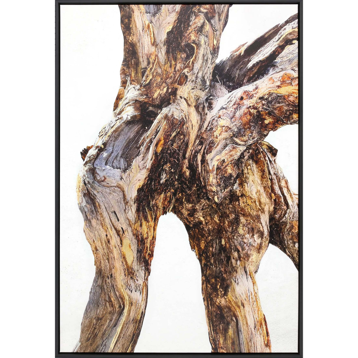 Paragon Tree of Life Brown 63 X 43 X 2 Wall Art