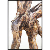 Paragon Tree of Life Brown 63 X 43 X 2 Wall Art