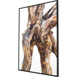 Paragon Tree of Life Brown 63 X 43 X 2 Wall Art