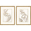 Paragon Radiant Spiral II S/2 Metallic 29 X 23 X 1 Wall Art