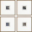 Paragon Metamorphosis II S/4 Blue 21 X 21 X 2 Wall Art