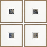 Paragon Metamorphosis II S/4 Blue 21 X 21 X 2 Wall Art