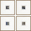Paragon Metamorphosis II S/4 Blue 21 X 21 X 2 Wall Art