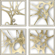 Paragon Splash of Gold I S/4 Metallic 22 X 22 X 2 Wall Art