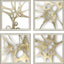 Paragon Splash of Gold I S/4 Metallic 22 X 22 X 2 Wall Art