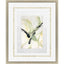 Paragon Petal Parade III Green 38 X 31 X 2 Wall Art