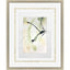 Paragon Petal Parade IV Green 38 X 31 X 2 Wall Art