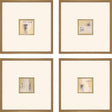 Paragon Code S/4 Neutral 21 X 21 X 2 Wall Art