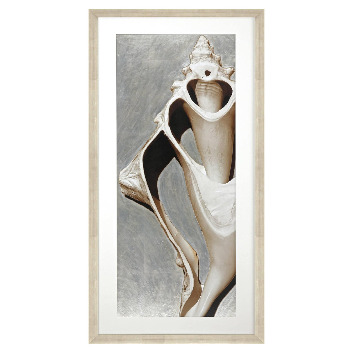 Paragon Modern Shell I Sepia 51 X 26 X 2 Wall Art