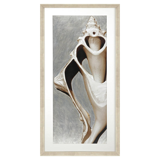 Paragon Modern Shell I Sepia 51 X 26 X 2 Wall Art