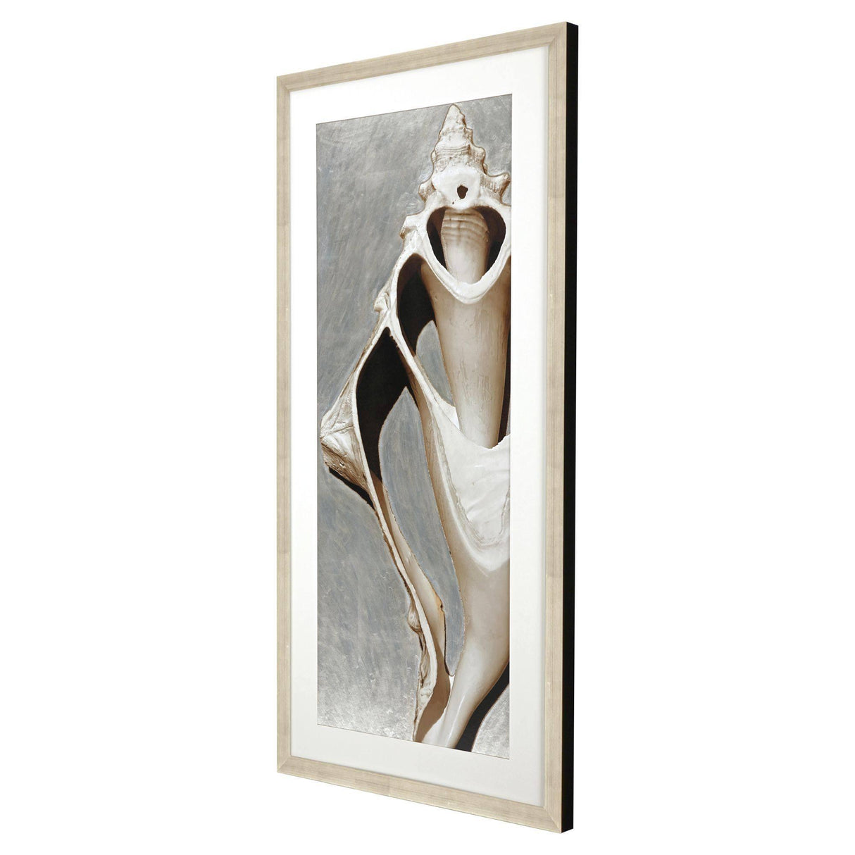 Paragon Modern Shell I Sepia 51 X 26 X 2 Wall Art
