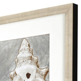 Paragon Modern Shell I Sepia 51 X 26 X 2 Wall Art