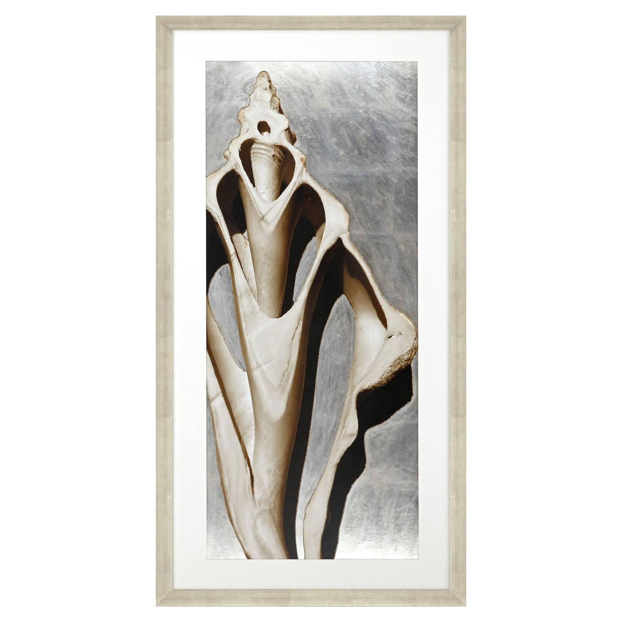 Paragon Modern Shell III Sepia 51 X 26 X 2 Wall Art